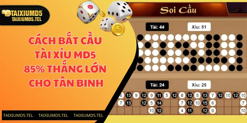 Cách Bắt Cầu Tài Xỉu MD5 Chuẩn 85% Thắng Lớn Cho Tân Binh
