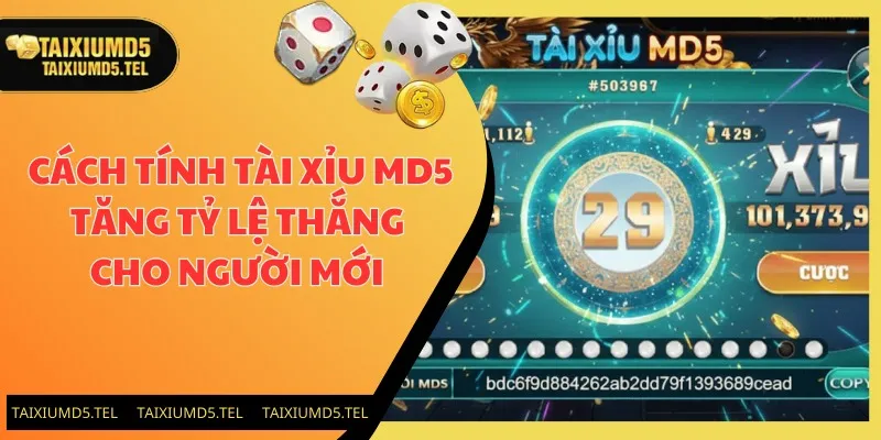 Cách Tính Tài Xỉu MD5 Tăng Tỷ Lệ Thắng Cho Người Mới